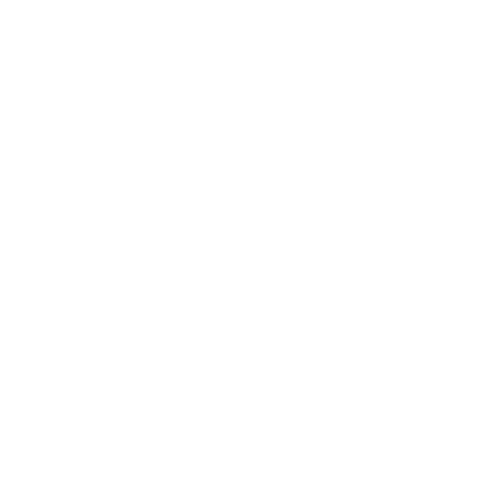 Iconos-profueg1