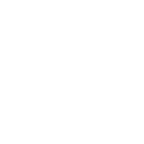 Iconos-profueg4