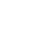 iconoSeccion4