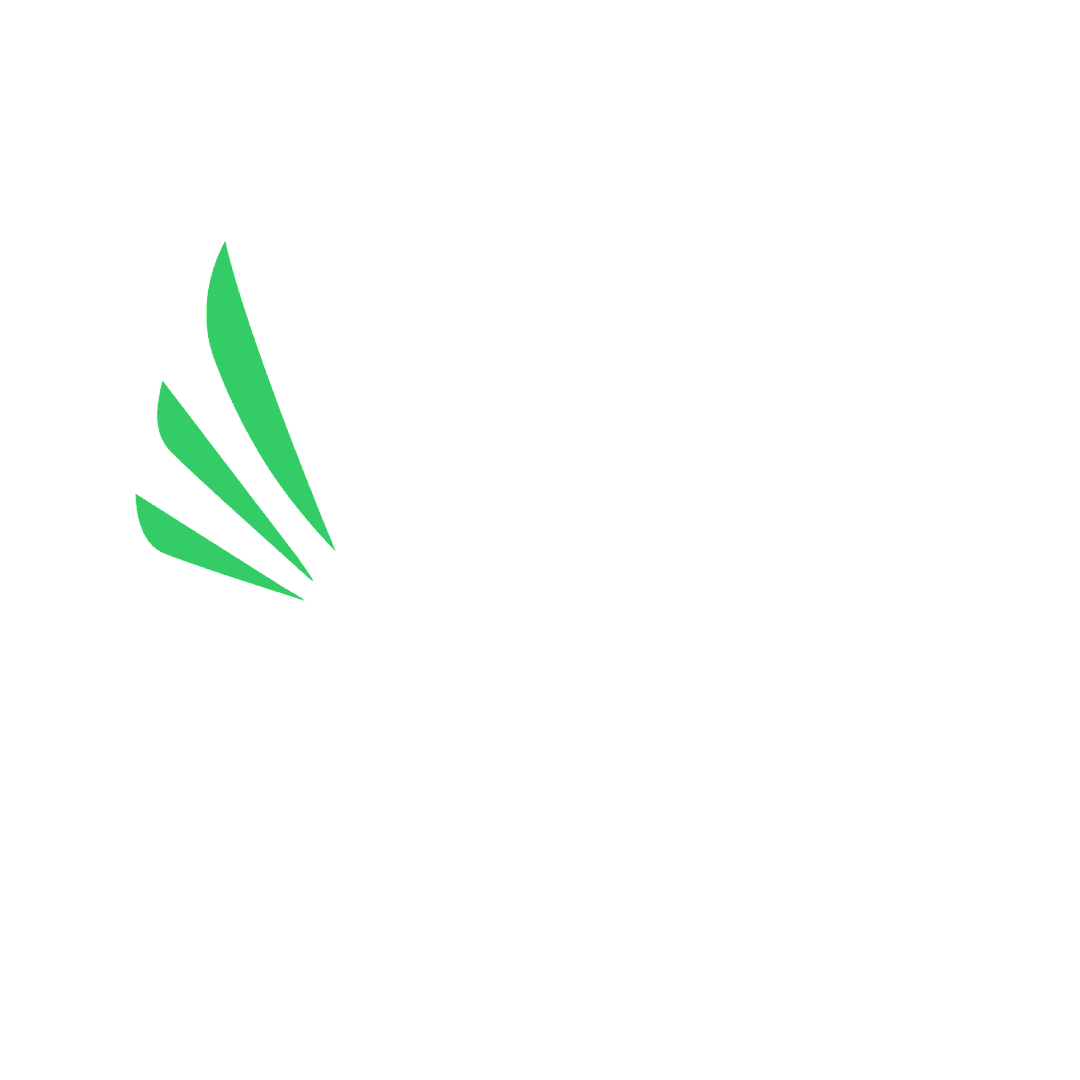logo-fondo-bassein-corporation